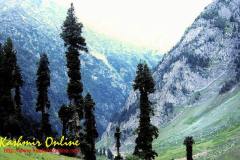 pahalgam_wallpaper1