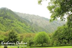pahalgam_wallpaper5