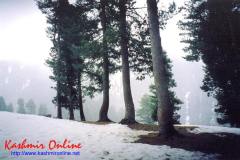 pahalgam_wallpaper6