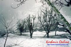 pahalgam_wallpaper7