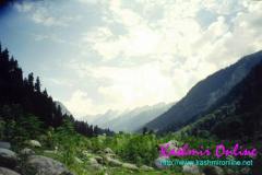 pahalgam_wallpaper8